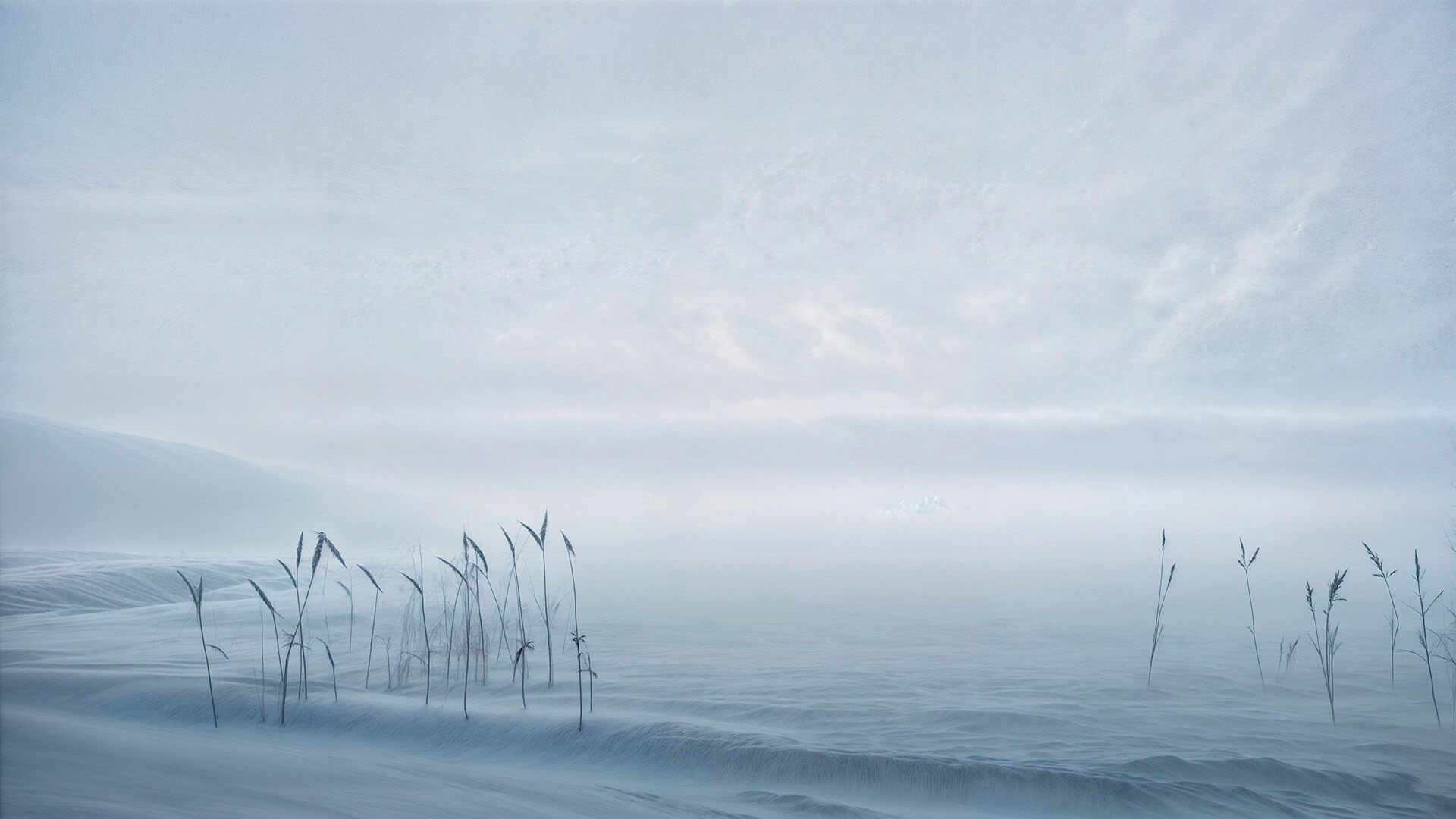 Storm